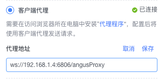 proxy-client-config.png